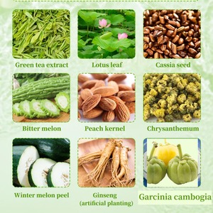 निजी लेबल हैल गार्सिनिया कैंबोडिया कैप्सूल प्रभावी गोलियां स्लिम हर्बल उत्पादों फास्ट हॉट बिक्री मिनी - Product Image 3