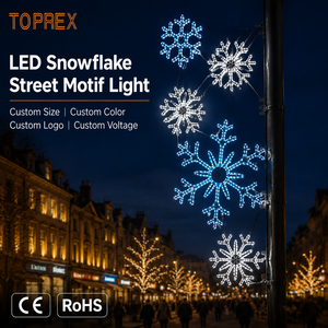 Motivo LED per Pali TOPREX, Design a Fiocco di Neve 2D, Telaio in Alluminio Antiruggine, Certificato CE ROHS SAA, Efficiente dal Punto di Vista Energetico - Product Image 1