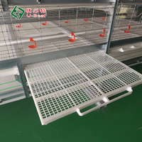 Bon prix mangeoire pour poulet élevage de volaille équipement d'élevage d'animaux et de volailles batterie pour poussins cage pour poulets de chair pour 10000