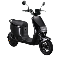 Scooter électrique de haute qualité 800W 48V 20.8AH avec batterie au lithium LFP, 45 km/h, en alliage d'aluminium, homologué EEC COC