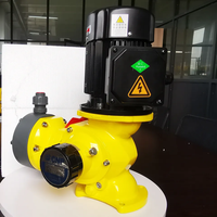 Bomba de diafragma mecánica OEM personalizable serie GM sistema de bomba de dosificación química
