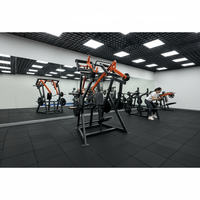 Máquina de Remo Profesional para Gimnasio Comercial, Entrenador de Espalda de Acero DY, Ajustable, Resistente y Segura