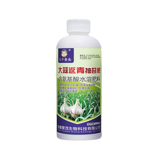 Engrais pour la repousse et la floraison des plantes, Eight Old Men Garlic, 300 ml, soluble dans l'eau, avec acides aminés, pour les cultures maraîchères - Product Image 4