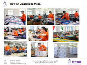 Автоматический открытый Радужный Зонт с логотипом 16 К - Product Image 6