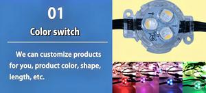 Misrabbit 30MM 0.96W 12Vジェムストーンパーマネント屋外ライト3 LED防水クリスマスRgbw Surplifeアプリとトラック付き - Product Image 2