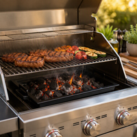 Cendrier en métal émaillé noir avec poignée en plastique pour barbecue au charbon de bois, cuisson en extérieur