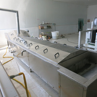 Industriële continue blancheringsmachine voor groenteverwerking, prijs