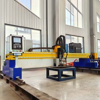 Machine de Découpe Plasma à 5 Axes Portique 6030 CNC, Découpeuse pour Acier Inoxydable et Acier au Carbone