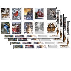 Scènes <span class=keywords><strong>de</strong></span> neige 2020, fleurs d'hortensia 2017, <span class=keywords><strong>timbres</strong></span> éternels, États-Unis, 5 feuilles <span class=keywords><strong>de</strong></span> 100 autocollants, adaptés aux enveloppes - Product Image 2