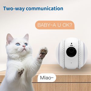 1080P HD Smart Home Pet Companion Robot Interactive Night Vision Dog Cat Toys Wireless Rolling Battery Security Cc <strong>Camera</strong> - Product Image 6