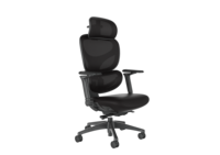 Chaise de bureau ergonomique avec accoudoirs 5D, appui-tête 4D, chaise d'ordinateur entièrement en mesh avec soutien lombaire réglable