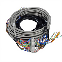 Bloc de jonction multi-cœurs sur rail DIN, longueur personnalisée 400MM 450MM 500MM, faisceau de câblage en cuivre, connecteur enfichable, assemblage de câbles