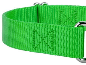 Kingtale-Correa básica personalizada para perros, hebilla de metal sólido con <span class=keywords><strong>collar</strong></span> de nailon suave, personalizada y sostenible para el entrenamiento de mascotas pequeñas - Product Image 3