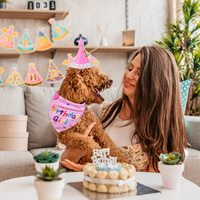 Kit de fournitures pour fête d'anniversaire de chien, bandana réglable et chapeau festif avec des chiffres pour toutes les tailles de chiens/