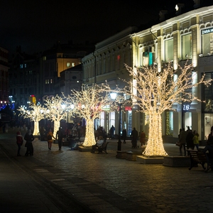 Ngoài trời <span class=keywords><strong>LED</strong></span> cây cảnh 3D twig Motif màu xanh màu xanh lá cây màu tím ánh sáng phát ra IP65 đánh giá 220V cho lễ hội Giáng sinh trang trí đường phố - Product Image 2