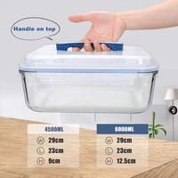 Facile à transporter grande capacité 4500ml/6000ml récipient de nourriture en verre/boîte de pique-nique/baril de riz avec poignée robuste