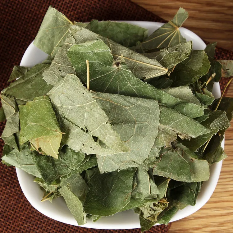 La medicina dell'uomo lascia themra herba feuilles afrodisiaque epimedium