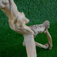 Kaffeeroot-Holz (60-80cm) Umweltfreundlich für Reptilien-Dschungel-Vivarien & Terrarien Tierkäfige - Marke CR-M