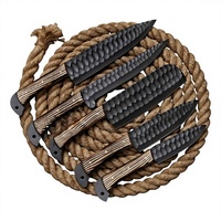 Ensemble de couteaux en acier damas à 67 couches, 5 pièces, manches en bois, lames aiguisées faites à la main de 6 à 7,9 pouces, couteaux de chef ambidextres pour la cuisine