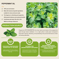Huile Essentielle de Menthe Poivrée à Base d'Extraits Végétaux Naturels, Additif Alimentaire pour Bétail, Volaille, Aquaculture (Crevettes, Poissons) - Approvisionnement Direct Usine