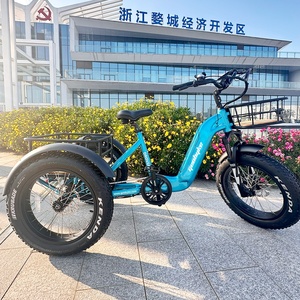 Entrepôt <span class=keywords><strong>allemand</strong></span> livraison rapide 250w tricycle électrique à 3 roues avec paniers avant et arrière - Product Image 2