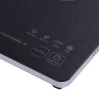 Cuisinière à induction à contrôle tactile 220V Cuisinière à induction à un brûleur
