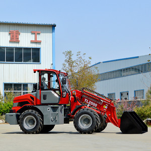 Tải trọng định mức <span class=keywords><strong>2</strong></span>.5 tấn <span class=keywords><strong>CE</strong></span> chứng nhận Kính thiên văn Bánh Xe Tải taian tl2500 kết thúc trước <span class=keywords><strong>loader</strong></span> - Product Image 6