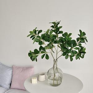 Planta Artificial de <span class=keywords><strong>Polyscias</strong></span> <span class=keywords><strong>Fabian</strong></span>, Decoración Estilo Bosque, Accesorio para Fotos, Simulación de Planta Verde, Flor Artificial para Bodas, Hogar, Hotel, Paisajismo - Product Image 3