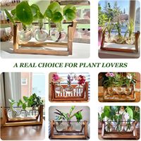 Terarium Tanaman Dalam Ruangan dengan Dudukan Kayu, Vas Bohlam Kaca, Stasiun Perbanyakan Meja, Rak Retro untuk Dekorasi Rumah, Kantor, dan Taman