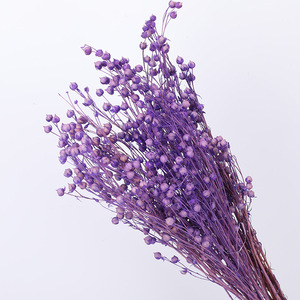 Taidian — <span class=keywords><strong>fleurs</strong></span> d'acacia <span class=keywords><strong>séchées</strong></span> naturelles, vente en gros, vraies perles, <span class=keywords><strong>séchées</strong></span>, vente en gros, B0170 - Product Image 5