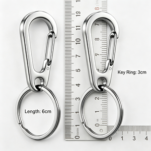 Großhandel Edelstahl D-Form Karabiner Schlüsselanhänger Federschnappverschluss mit Individuellem Logo Werbegeschenk - Product Image 2