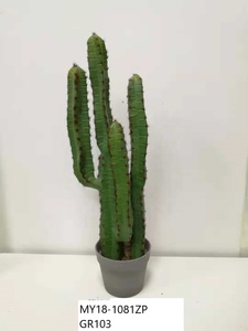 Offre Spéciale grand en plastique <span class=keywords><strong>d</strong></span>'<span class=keywords><strong>intérieur</strong></span> plantes tropicaux <span class=keywords><strong>d</strong></span>écoratifs plantes de cactus en pot - Product Image 5