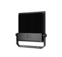 Nuevo molde privado 30W 50W 80W 100W LED Luz de inundación Carcasa de aluminio SMD Chips IP66 Garantía nominal de 5 años Alto CRI 80 Regulable