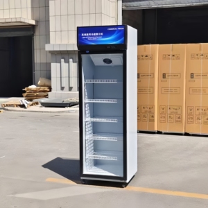 Réfrigérateur vertical commercial pour boissons, à température unique, avec porte vitrée et étagères réglables, à température mécanique - Product Image 6