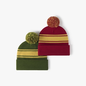Bonnet en tricot acrylique en gros, bonnet d'hiver chaud avec logo brodé et pompon - Product Image 2