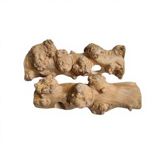 Escondites de Madera Natural para Reptiles, Varios Tamaños, Duraderos, Ecológicos, Artículos para Mascotas de Interior, Hechos en Vietnam - Product Image 1