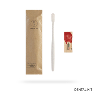 Kit d'articles de toilette jetables écologiques et portables pour hôtels, avec logo personnalisé, pour chambres d'hôtes et Airbnb