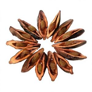 Polvo Concentrado <span class=keywords><strong>de</strong></span> Nuez <span class=keywords><strong>de</strong></span> Betel Orgánico <span class=keywords><strong>de</strong></span> Alta Calidad en Oferta, Polvo <span class=keywords><strong>de</strong></span> Extracto <span class=keywords><strong>de</strong></span> Nuez <span class=keywords><strong>de</strong></span> Betel - Product Image 2