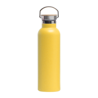 Penjualan Langsung Pabrik Desain Modern Botol Vakum Stainless Steel 500ml Termos Gym Tumbler Botol Air dengan Pegangan untuk Hadiah