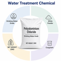 Chlorure de polyaluminium de haute pureté, poudre blanche PAC 30% pour la purification de l'eau du robinet