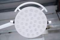 Lampe d'examen mobile LED professionnelle 360 mm à intensité variable en continu, haute luminosité, pour interventions mineures en clinique et usage vétérinaire