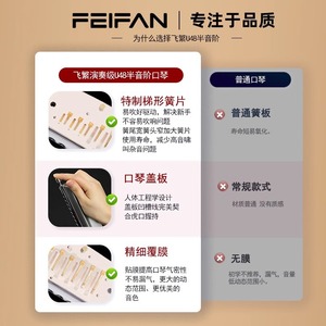 เฟยฟาน ฮาร์โมนิก้าโครมาติก 12 รู รุ่น U48 ระดับมืออาชีพ สำหรับผู้ใหญ่และผู้เริ่มต้น พร้อมกล่องเก็บ - Product Image 1