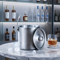Seau à glace rapide et élégant en acier inoxydable double paroi argent/or 1,6L 2L 3L pour bar, KTV, fête, bière, whisky, cocktail, vin