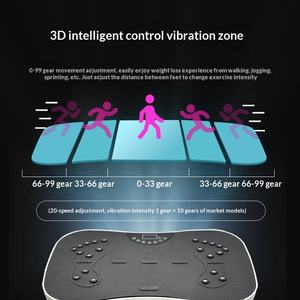 Macchina per Esercizi con Vibrazione, <span class=keywords><strong>Mini</strong></span> Pedana Vibrante Multifunzionale per Dimagrimento, Nuovo Attrezzo per Casa - Product Image 3
