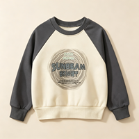 Sweat-shirt à col rond et manches raglan pour garçons, avec imprimé graphique, pull décontracté pour tous les jours, fabrication OEM personnalisée, directement de l'usine