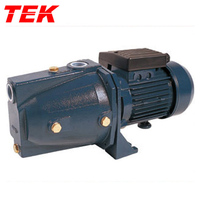 Pompe JET-100B JET100B JETB-100 JETB100 750w Moteur en fil de cuivre Corps de pompe en fonte Auto-amorçante Fabricant de pompes JET OEM