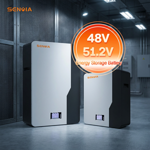 Batería de Litio Económica para Sistema de Almacenamiento de Energía Solar de Uso Doméstico, Montada en Pared, 51.2V 100AH, en Stock - Product Image 1