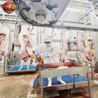 Machinerie d'abattage de bétail à haute efficacité, équipement professionnel de transformation de la viande, solutions personnalisées pour l'abattage des bovins