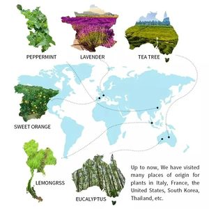 Produttore <span class=keywords><strong>di</strong></span> fornitura naturale <span class=keywords><strong>di</strong></span> <span class=keywords><strong>olio</strong></span> <span class=keywords><strong>essenziale</strong></span> <span class=keywords><strong>di</strong></span> <span class=keywords><strong>Patchouli</strong></span> biologico <span class=keywords><strong>di</strong></span> grado cosmetico puro <span class=keywords><strong>olio</strong></span> <span class=keywords><strong>di</strong></span> <span class=keywords><strong>Patchouli</strong></span> per la produzione <span class=keywords><strong>di</strong></span> profumi - Product Image 4