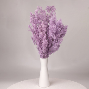 Venta al por mayor de fábrica: Aspargos <span class=keywords><strong>naturales</strong></span> Myrioeladus, plantas secas y preservadas, pino para decoración del hogar, arreglos florales, a granel. - Product Image 6